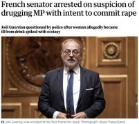 曾经窜台的法国议员，被抓了